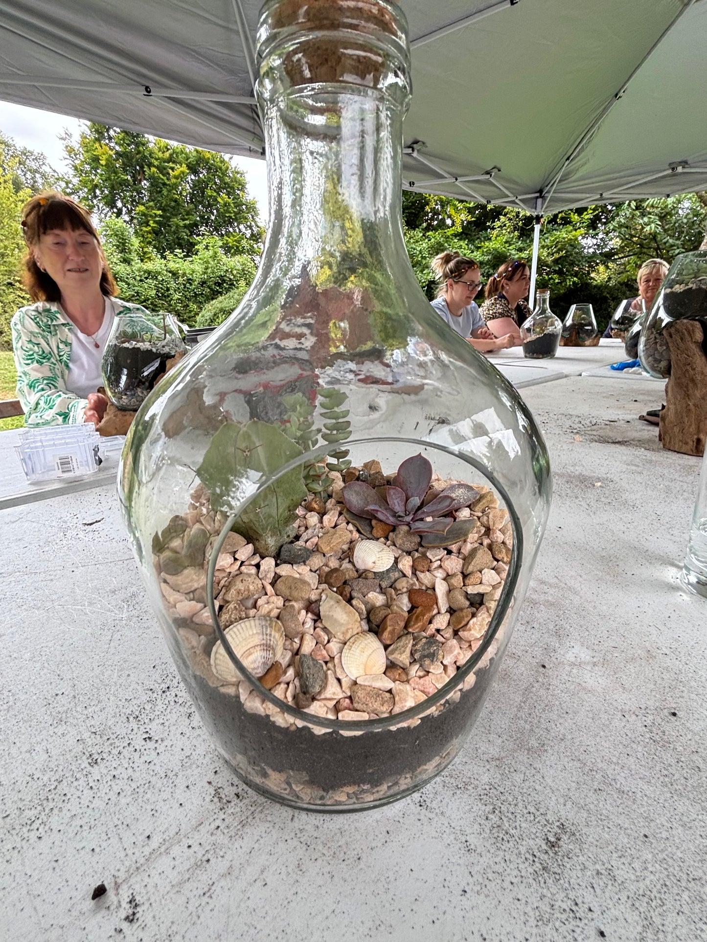 Terrarium workshop