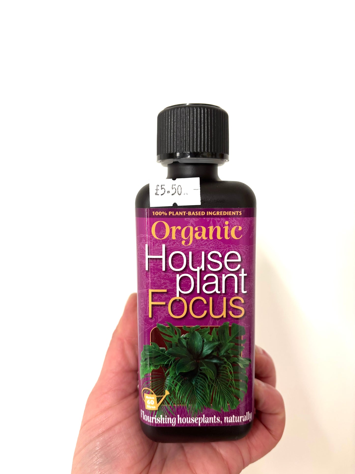 Organic Houseplant Focus Food