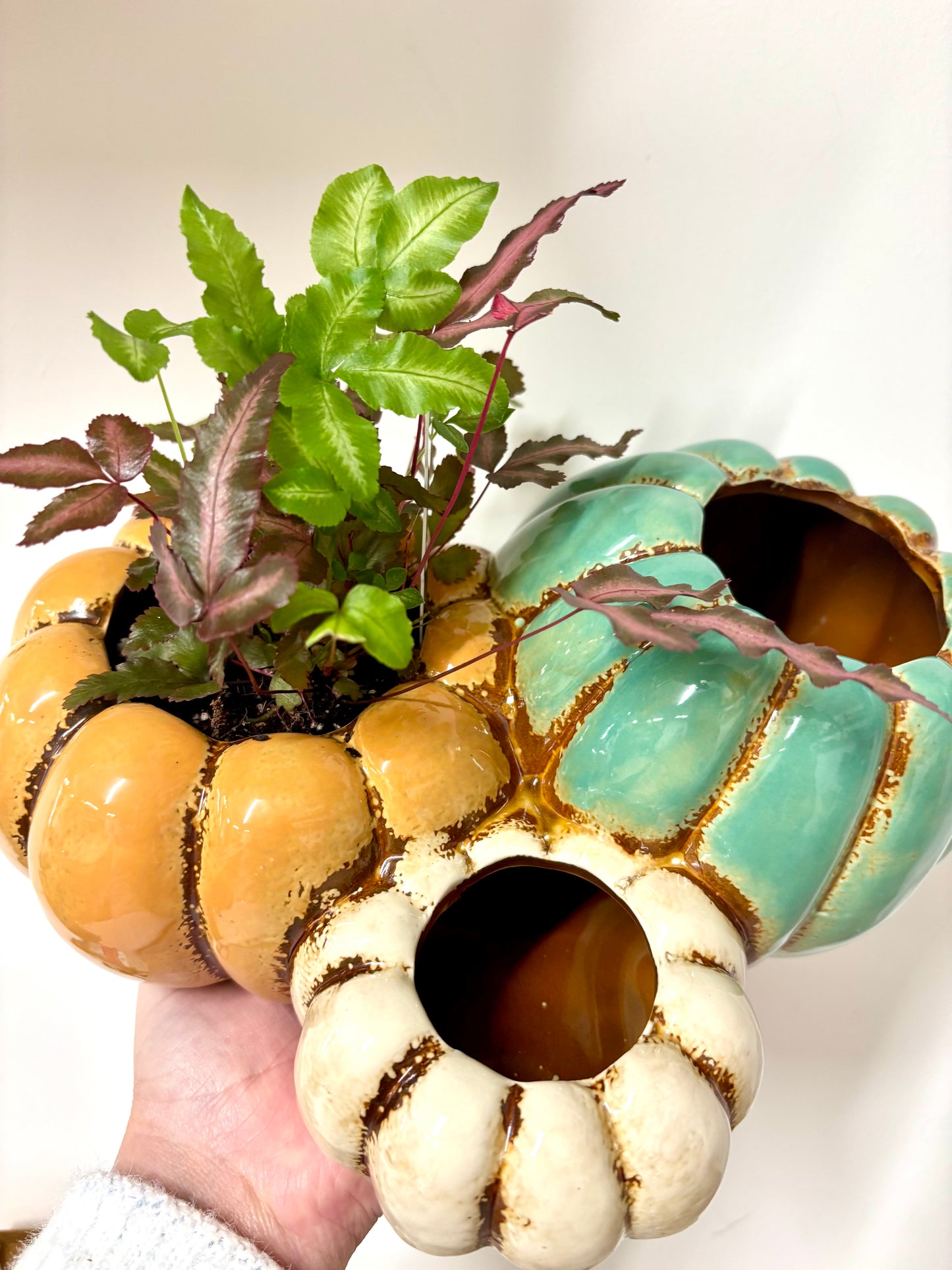 Pumpkin planters