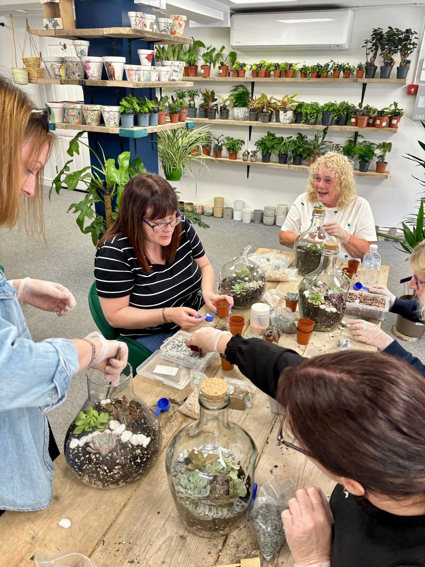 Terrarium workshop