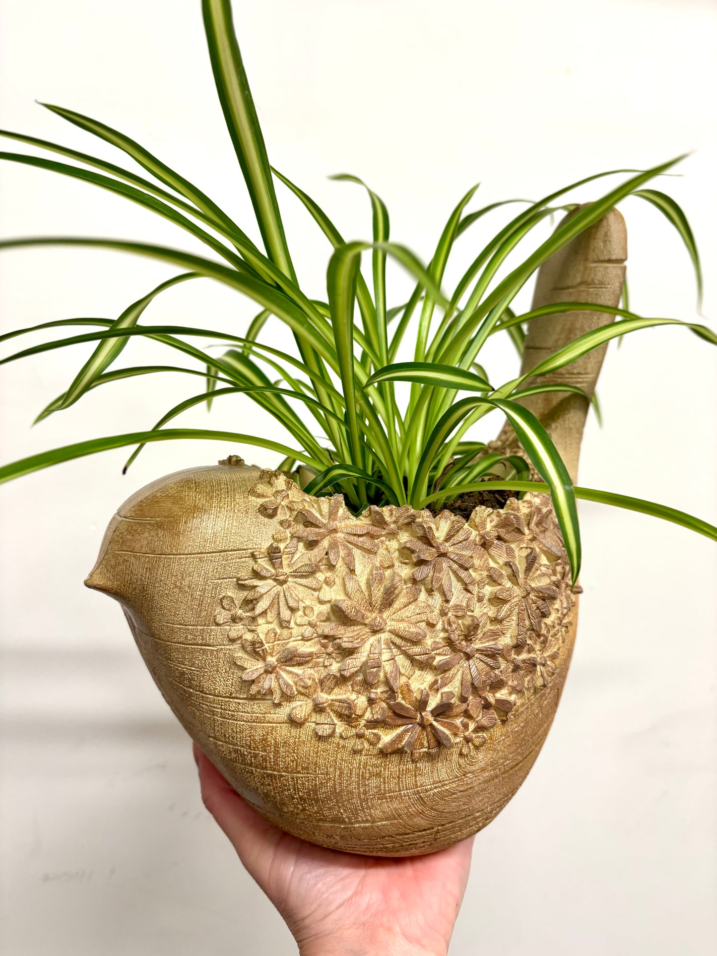 Large bird pot