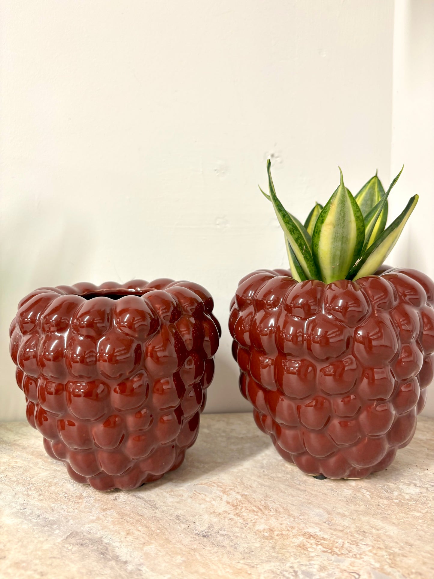 Raspberry pot