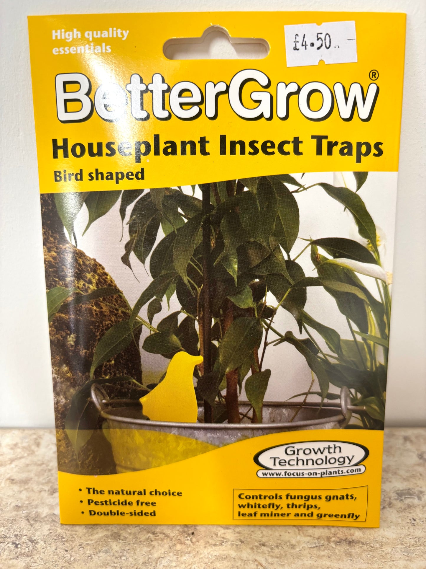 Houseplant insect traps