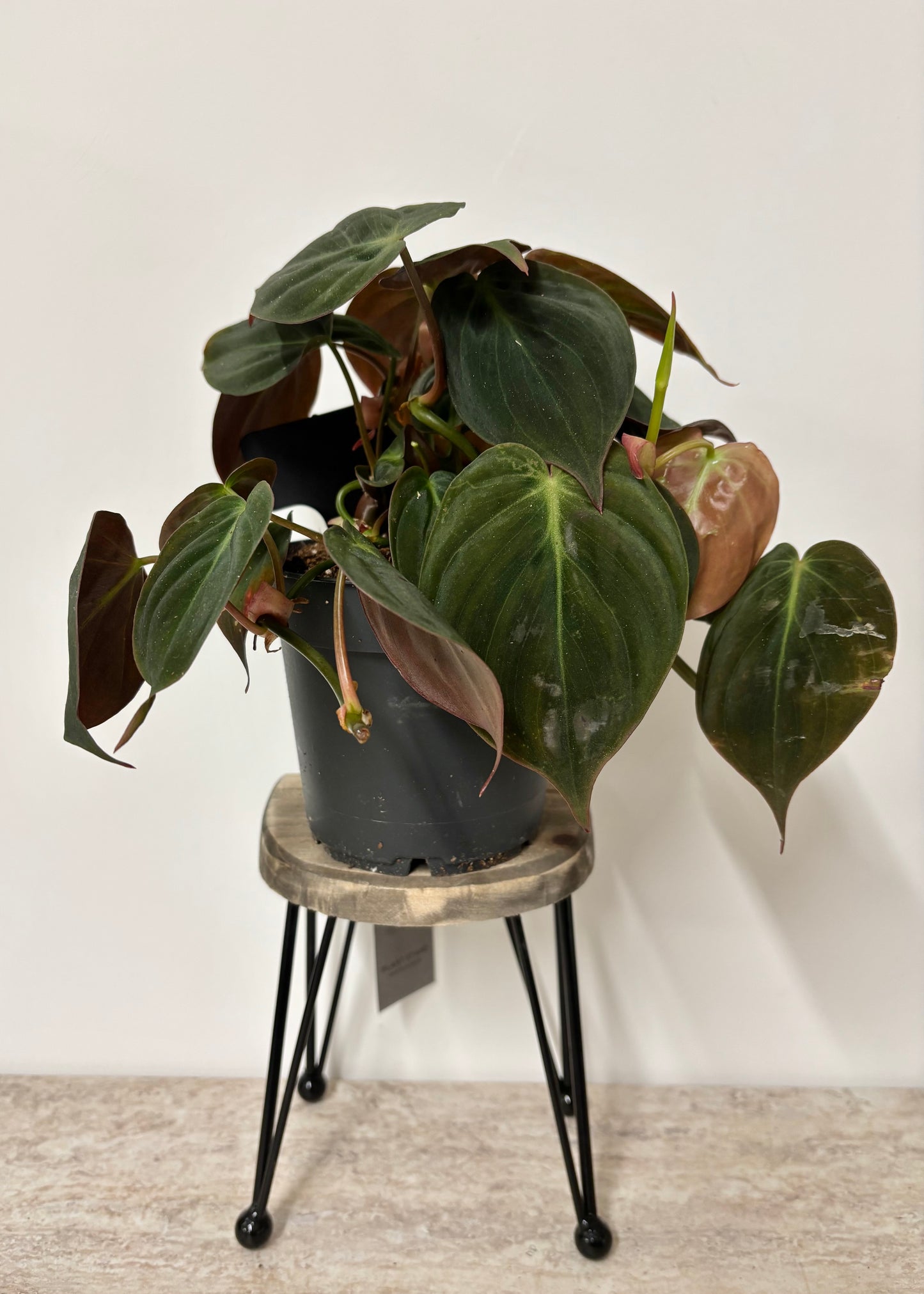Chair plant stand
