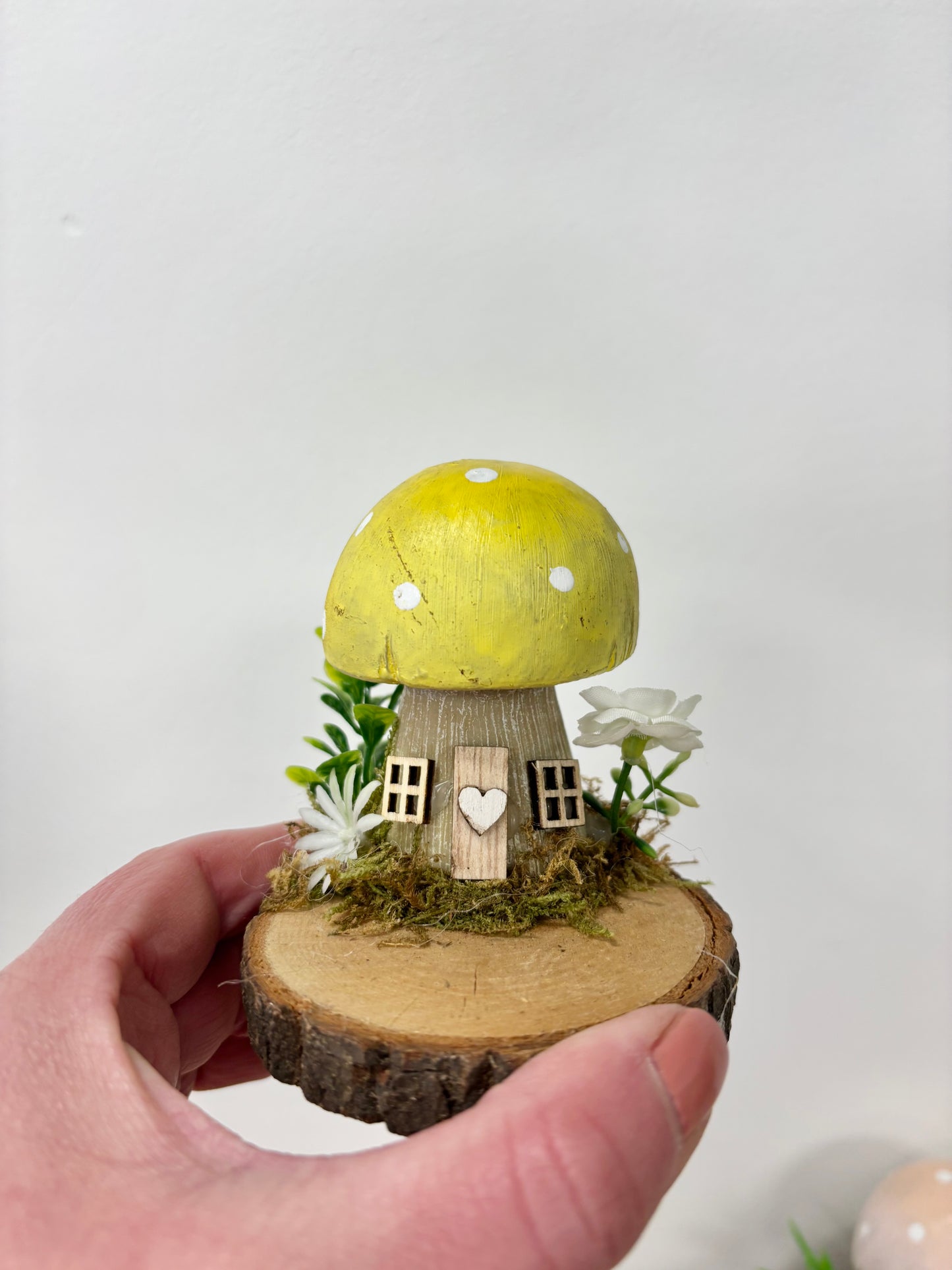 Mushroom house
