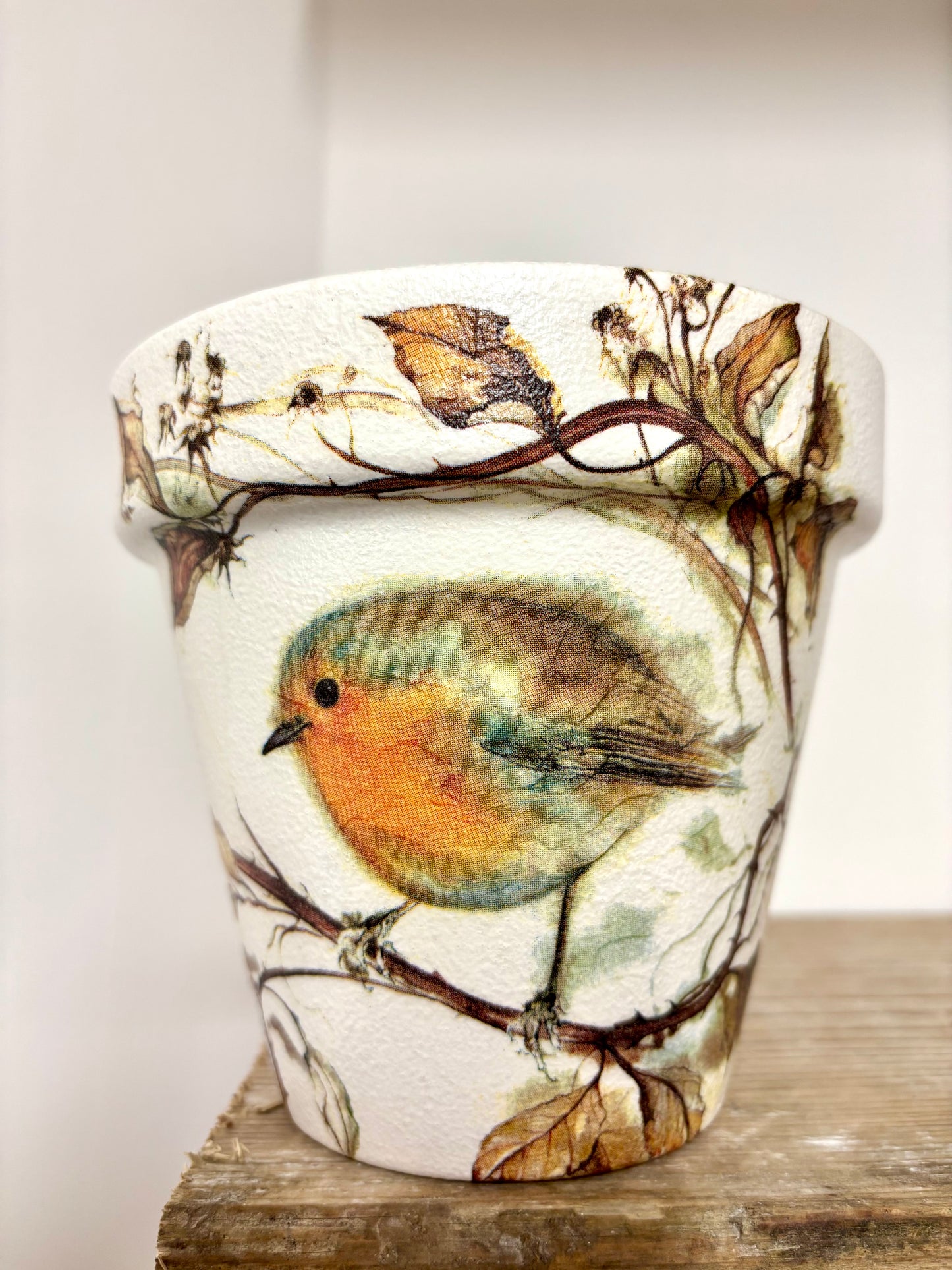 Robin Pot