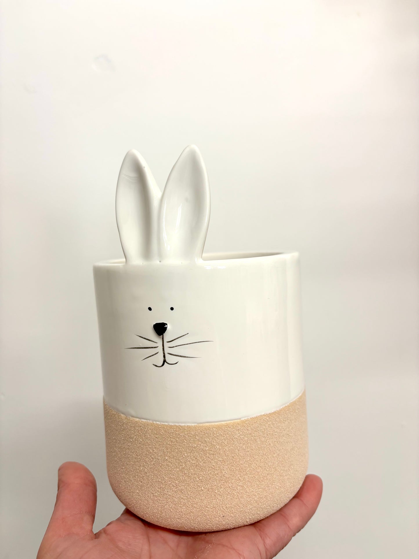 Ceramic rabbit pot