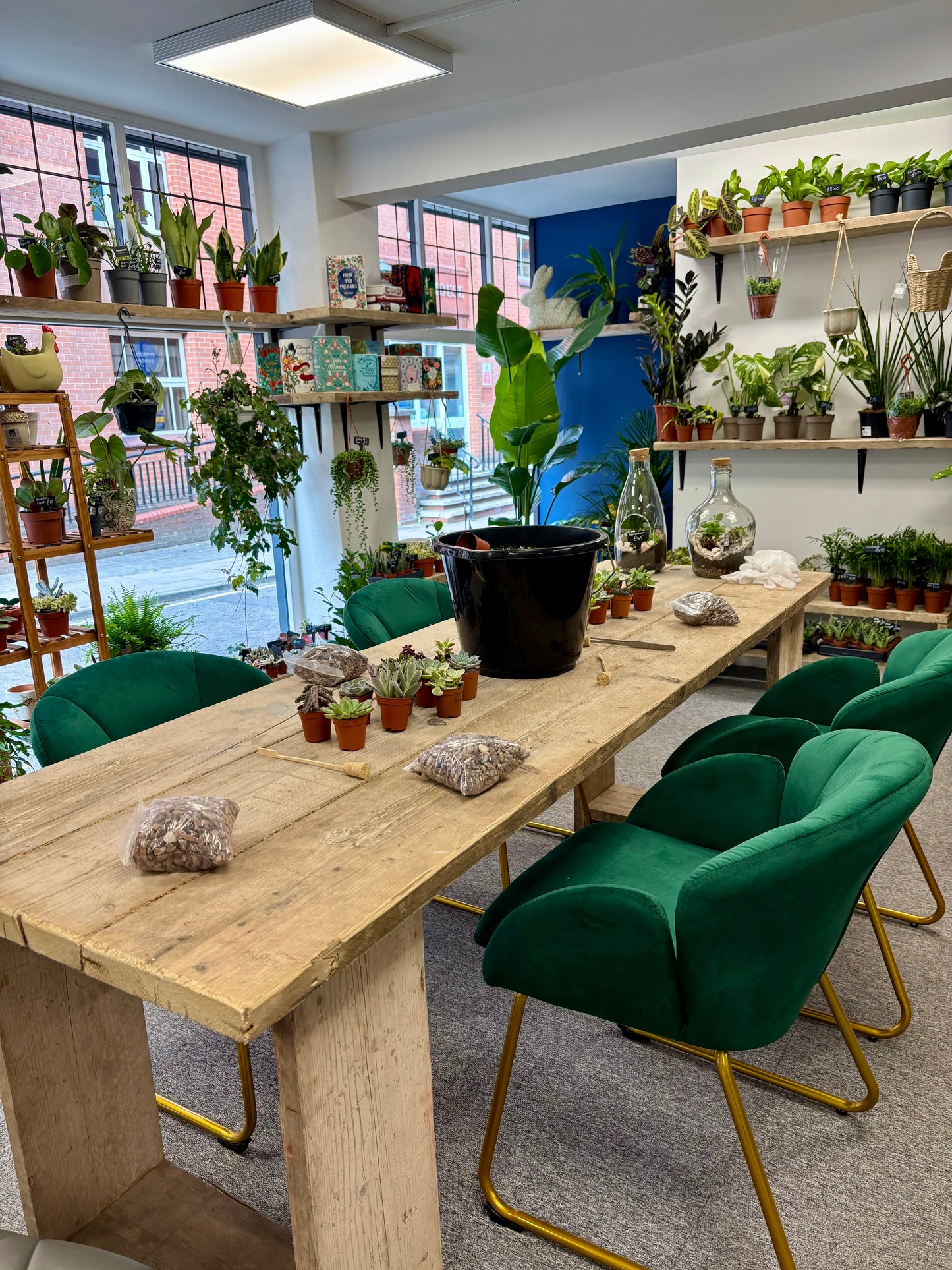 Terrarium workshop