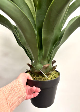 Faux Yucca