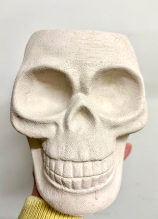 Skull planter