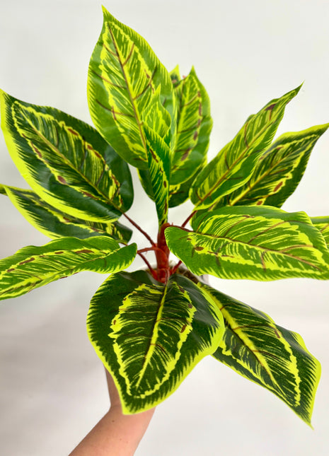 Faux Calathea plant