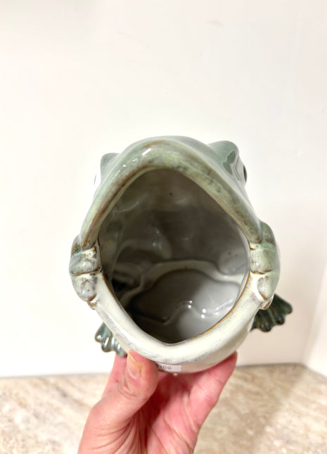 Glazed Frog pot