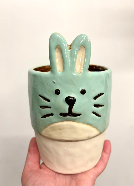 Rabbit pot