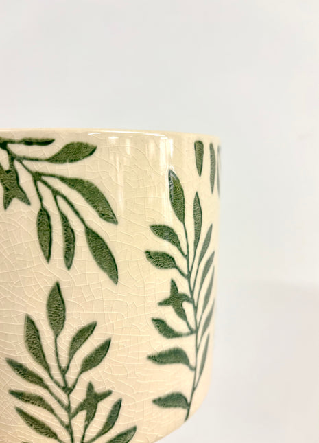 Green leaf plant pot medium