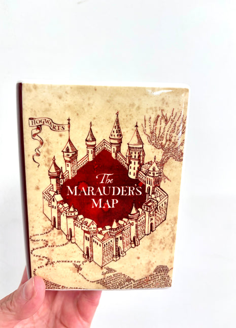 Harry Potter bookvase