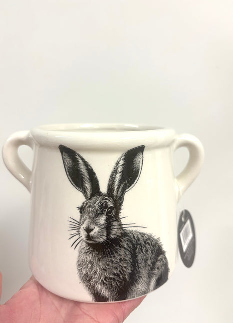 Hare plant pot