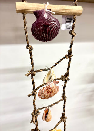 Shell ladder