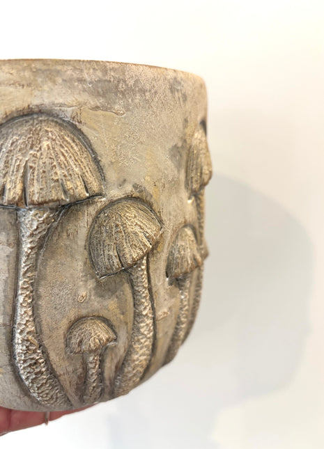 Mushroom plant pot