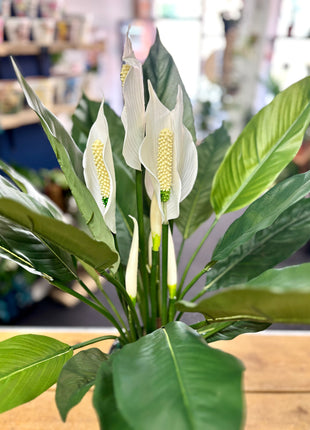 Faux Peace Lily