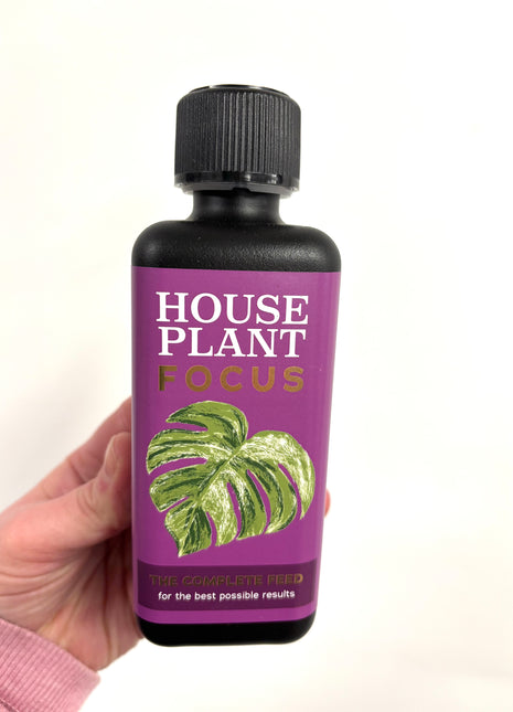 House plant focus feed 300ml
