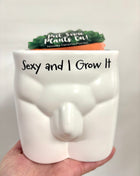 The wetter the better plant pot