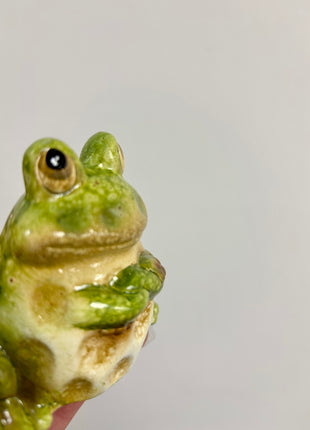 Little frog