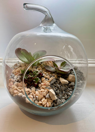 Terrarium workshop