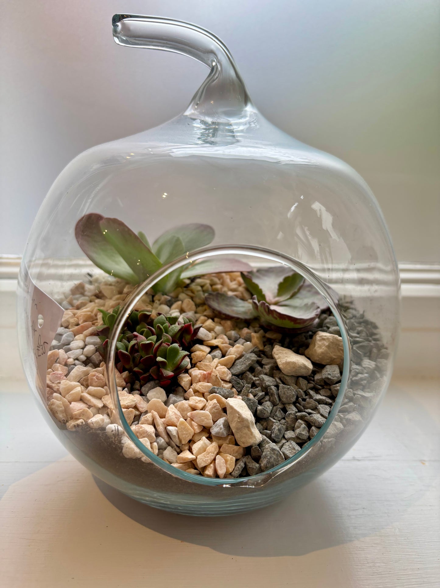 Terrarium workshop