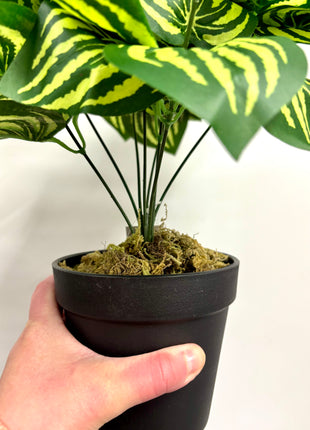 Faux watermelon plant