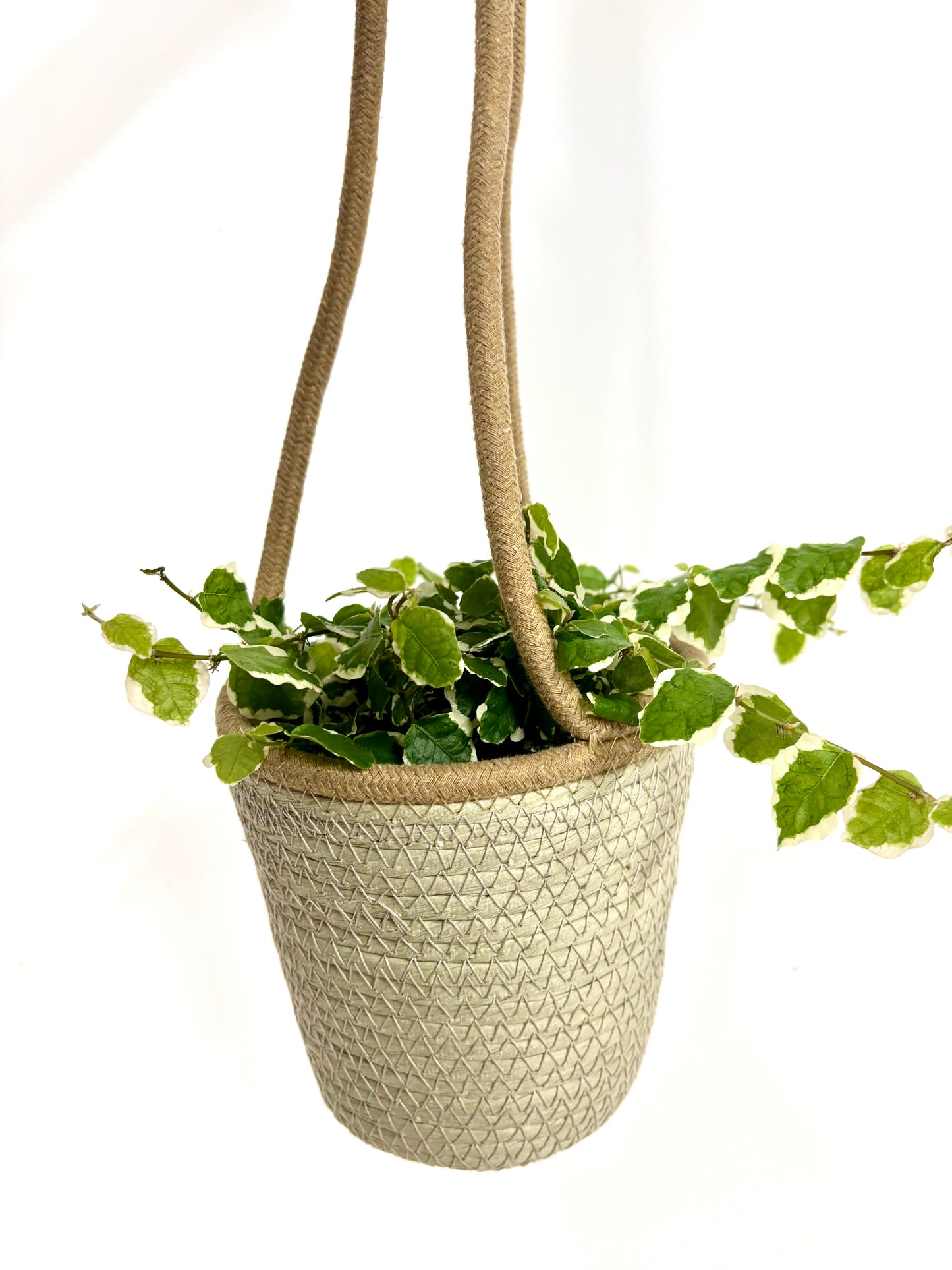 Tripod hanging basket