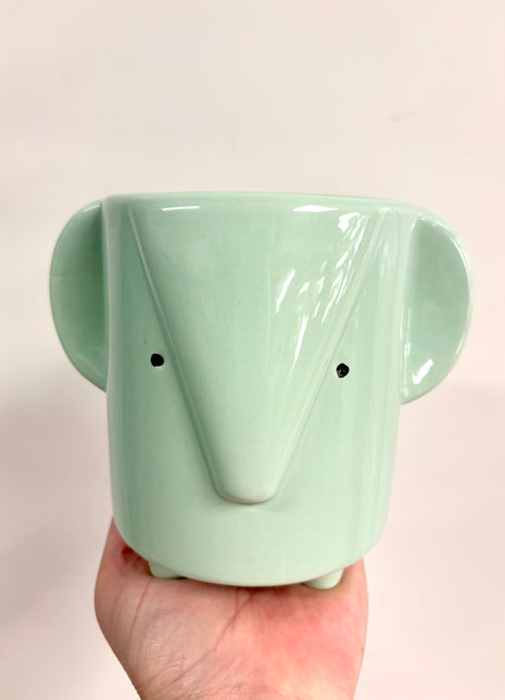 Elephant plant pot