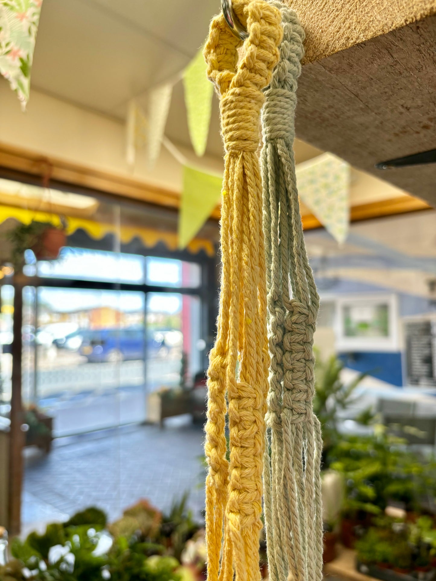 Macrame Plant Hangers