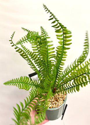 Faux fern with stand