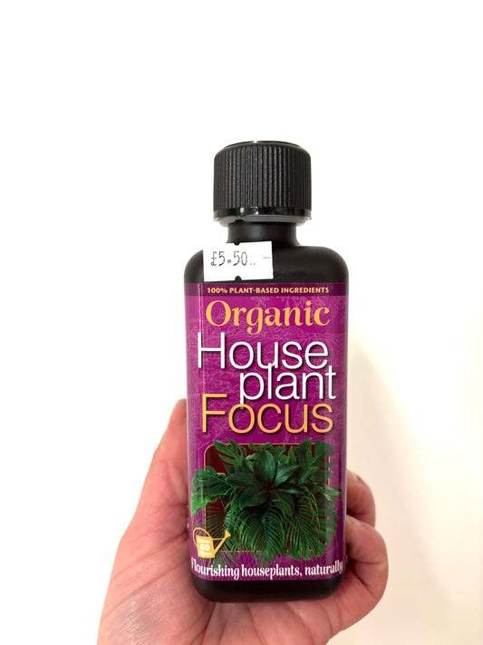 Organic Houseplant Focus Food