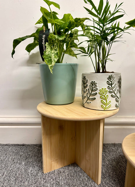 Bamboo Plant Stands