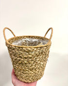 Wicker pot with handle