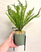 Faux fern with stand