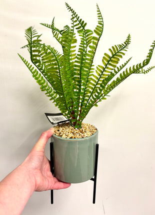 Faux fern with stand
