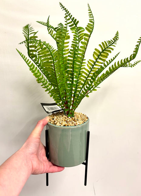 Faux fern with stand