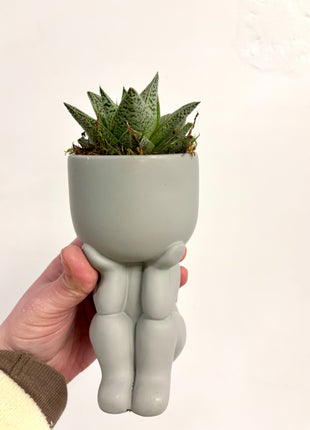 Sitting pots