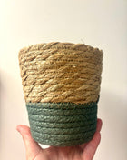 Basket/Pot natural & green 14cm