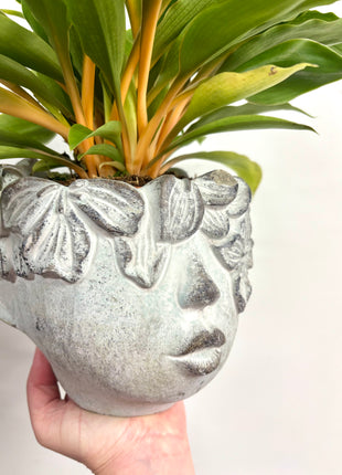 Lady concrete head pot