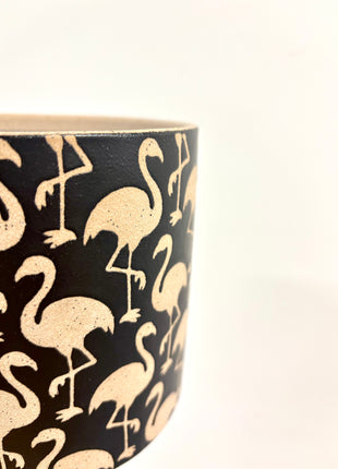 Flamingo plant pot medium