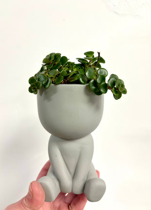 Sitting pots