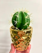 Faux cactus