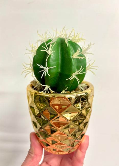 Faux cactus