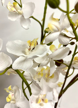 Faux orchid display potted