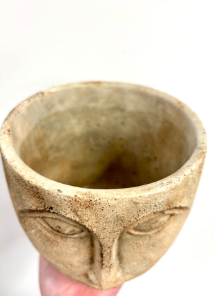 Rustic face planter