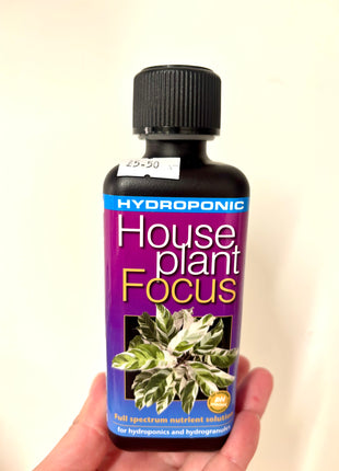 Houseplant Hydroponics focus