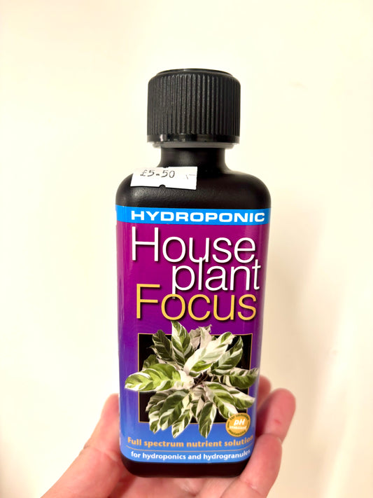 Houseplant Hydroponics focus